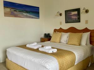Swansea Cottages & Lodge Suites - Property Overview