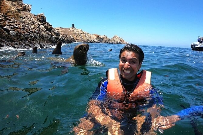 Swimming With Sea Lions in Islas Palomino Lima - Overview of the Tour