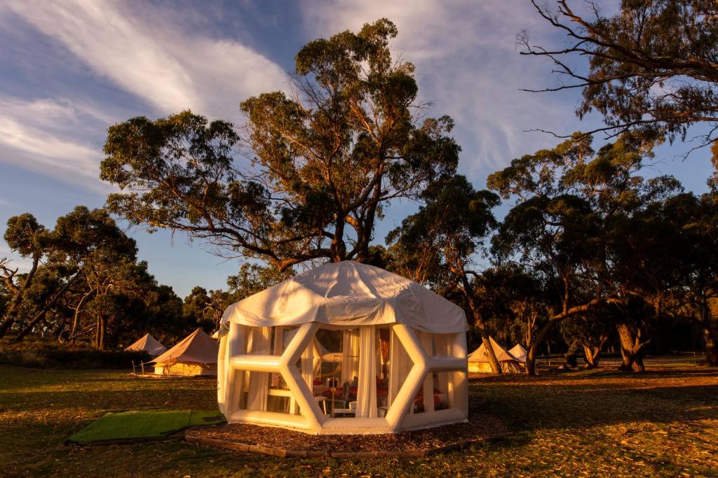 Taj Mahal upgraded Hex bubble Review