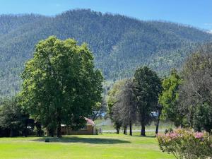 Talbingo Lodge - Selwyn Accommodation - Exceptional Location and Ratings