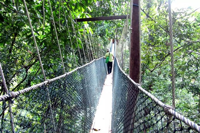 Taman Negara Day Tour With Canopy Walk - Overview and Highlights