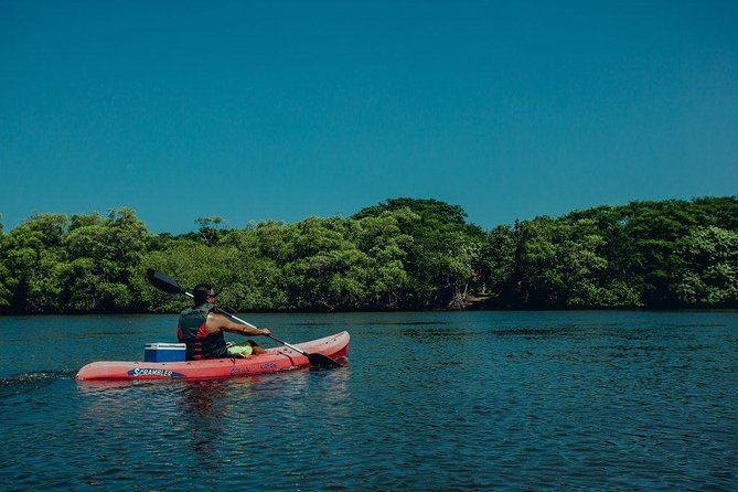6 Best Canoe And Kayak Experiences In Tamarindo