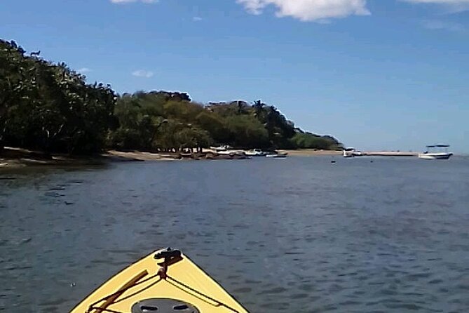 Tamarindo Mangrove Forest National Park Kayaking
