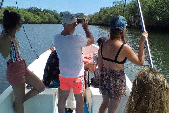 Tamarindo River Boat Tour
