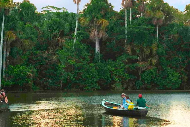 Tambopata Chuncho Macaw Clay Lick 3 Days