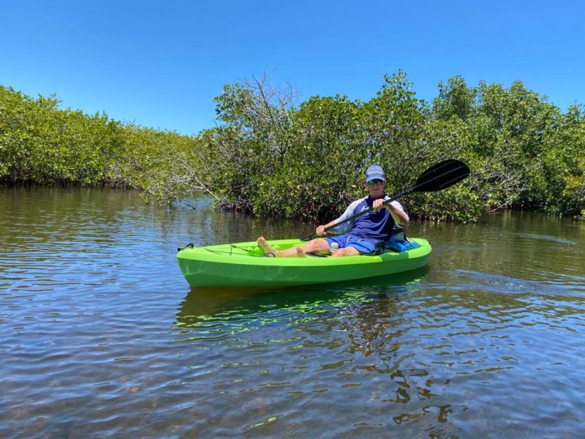 Tarpon Springs: Guided Anclote River Kayaking Tour