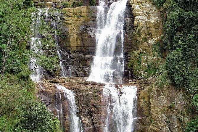 Tea Factory Plantation and Water Falls Tour