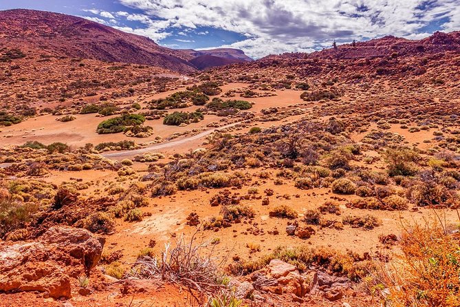 9 Best National Parks Tours In Tenerife