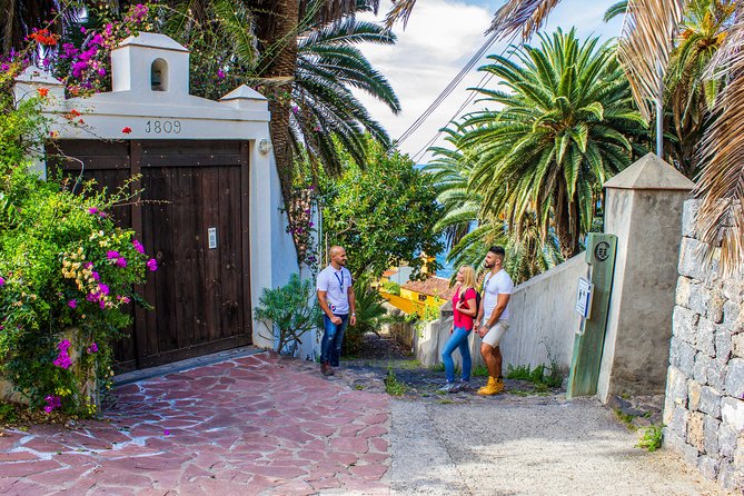 Tenerife North Private Tour: Through Villages and Ports