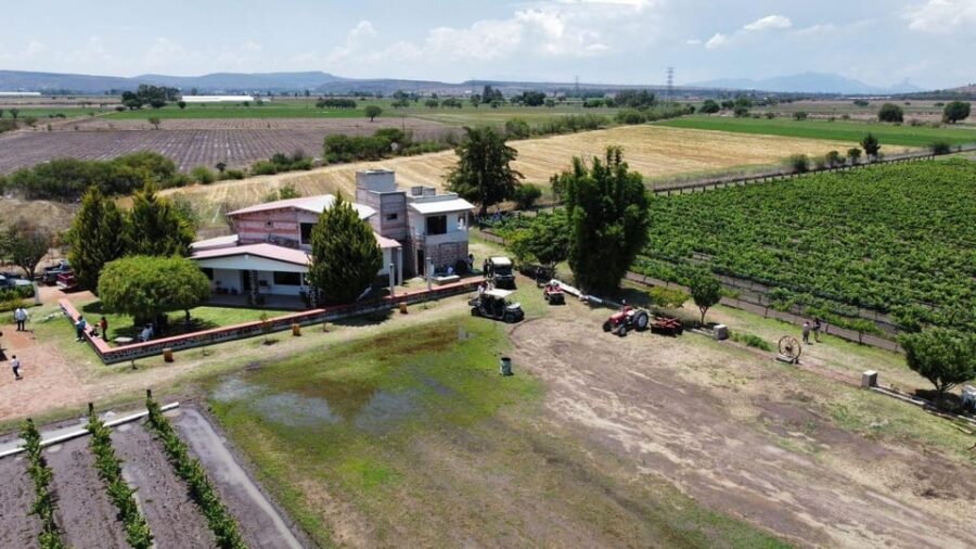 Tequisquiapan: UTV Tour With Wine Tasting and Cheese Pairing