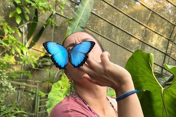 The Best Thing to Do in Cali – Butterfly Walk