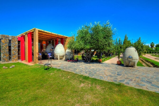 The Enemy Winery + Lunch in Angélica Zapata. Transfer Included