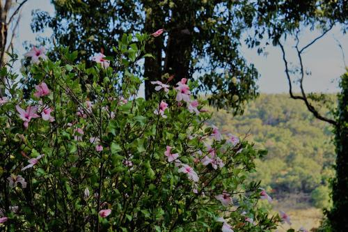 The Getaway Roleystone - Scenic Surroundings