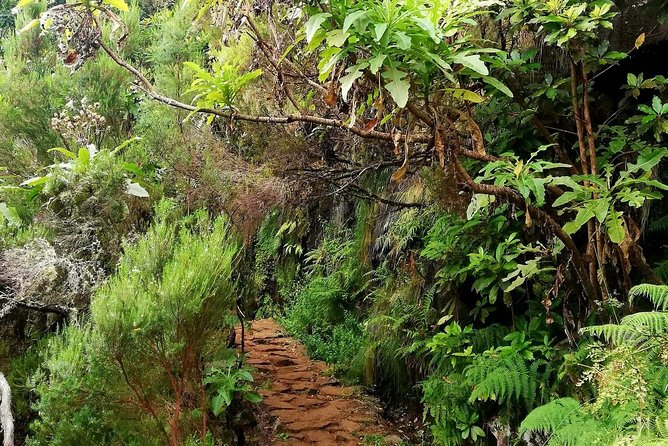 The Lakes Walk