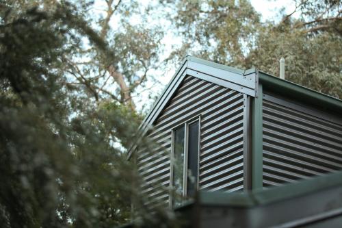 The Lodges Review