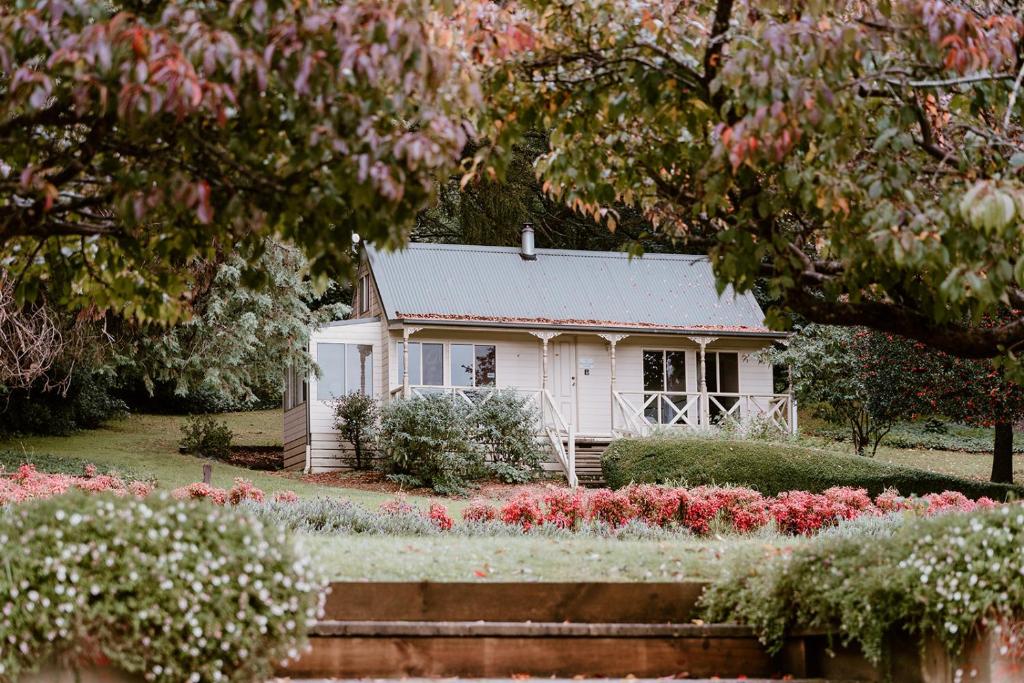 Best Hotels In The Patch