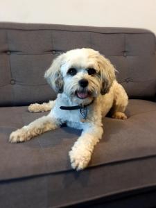 The Palms Apartments - Guest Ratings and Reviews
