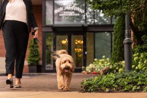 The Ritz-Carlton, St. Louis - Location and Accessibility