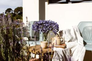 The Studios By Manna, Ascend Hotel Collection - Hotel Overview