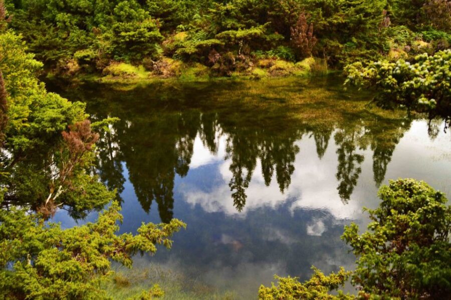 Third Island: Black Mysteries Hike
