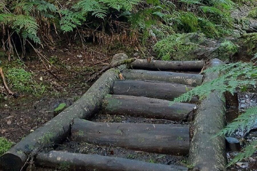 Third Island: Mysterious Black Hiking Trail