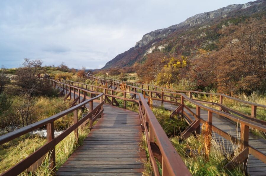 Tierra Del Fuego National Park: Small Group Tour With Lunch