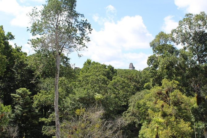 Tikal VIP Exclusive Full Day Tour From Belize Border - Tour Overview