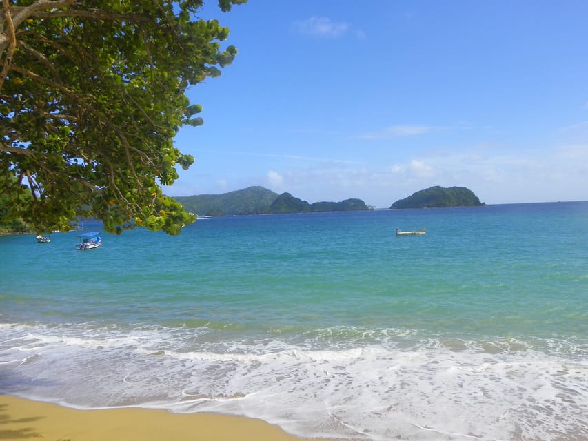Tobago: Buccoo Reef Glass Bottom Boat Tour - Tour Overview and Pricing