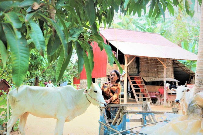 Tonle Sap Lake - Fishing Village & Flooded Forest - Tour Inclusions and Logistics