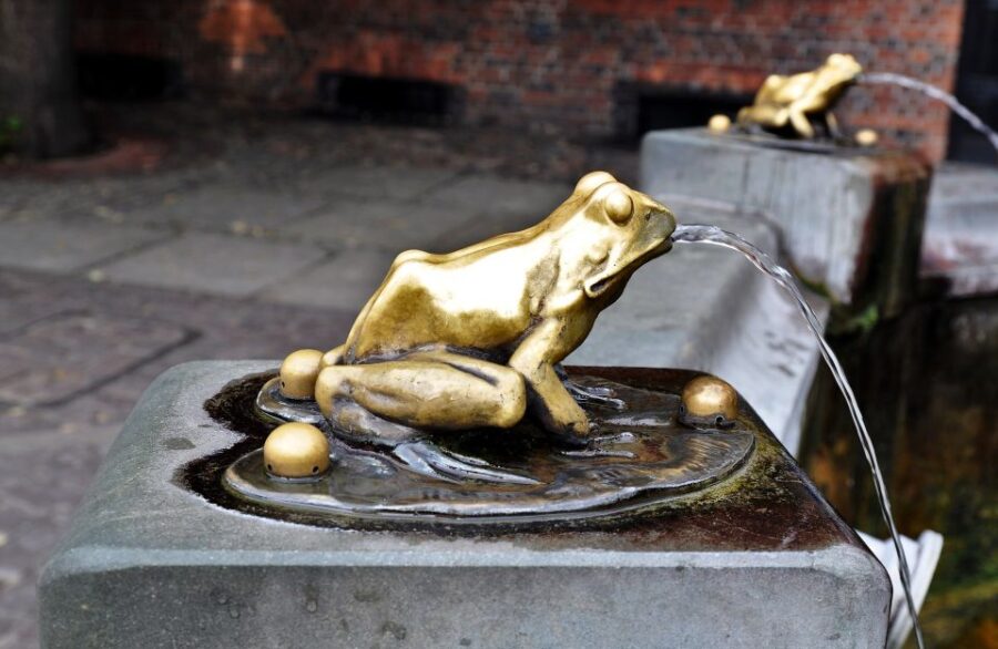 Torun Old Town Highlights Private Walking Tour