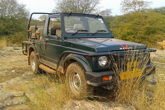 Tour of Ranthambore Fort and Ganesh Temple in a Jeep - Tour Overview