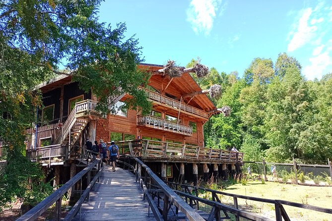 Tour to Huilo Huilo From Pucón, Villarrica - Itinerary Highlights