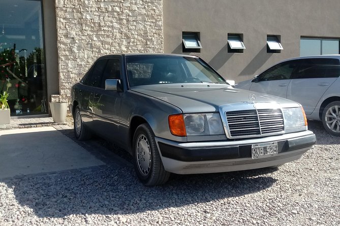 Transportation Around Mendoza or Others States!!! Trips.. Transfers