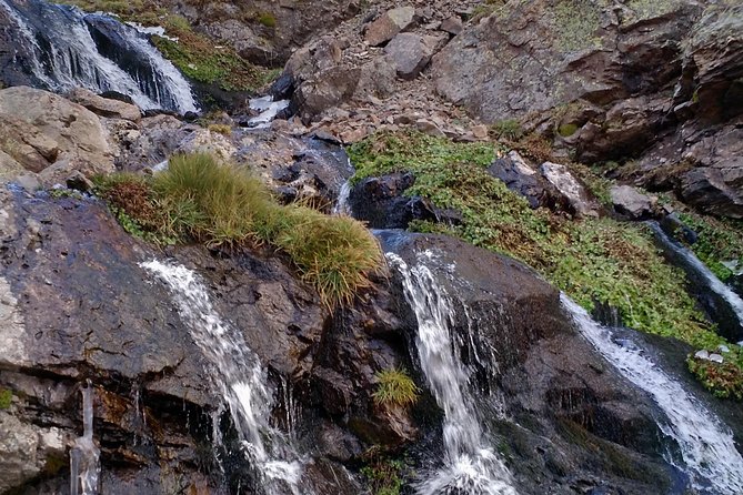 Trekking Day in the Andes (From Mendoza)