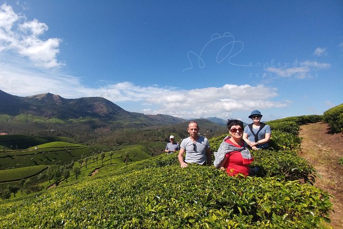 Trekking in Munnar - Trek Overview