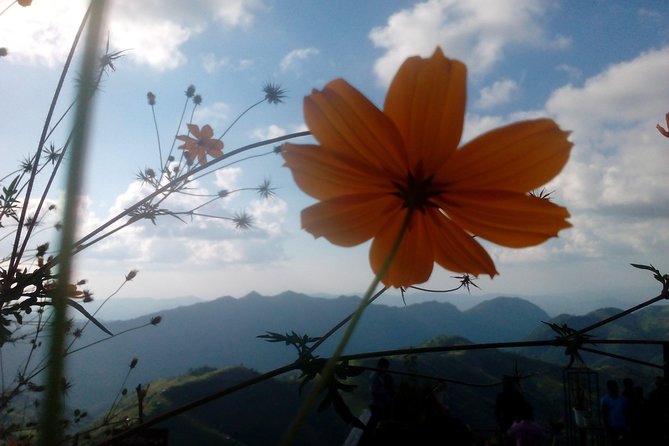 2 Best Hiking And Trekking Tours In Kalaw