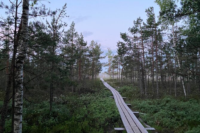 Trip to Kemeri National Park & Jurmala From Riga