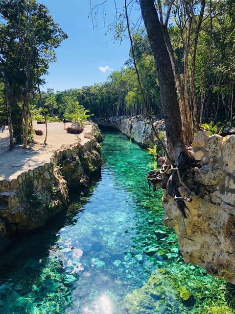 Tulum: Cenote Park Casa Tortuga & Tulum Ruins! From Tulum