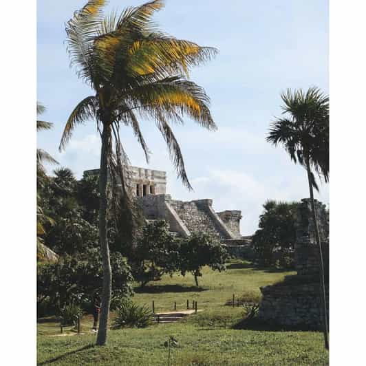 Tulum, Cenote + Swimming With Turtles PRIVATE TOUR