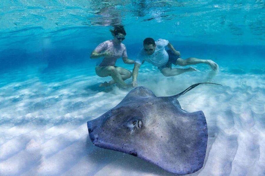 Tulum: Tulum Mayan Ruins and Thrilling Reef Snorkel