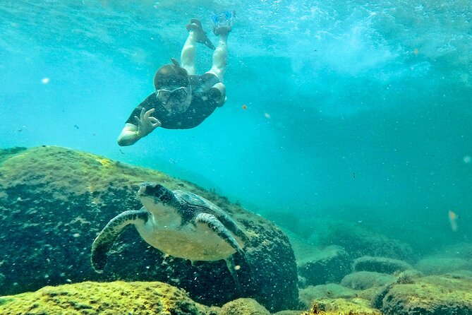 Turtle Snorkeling by Adrenailha