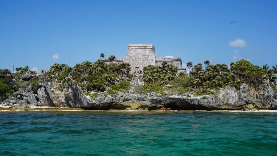 Turtles & Cenotes Half-Day Tour From Riviera Maya. - Tour Overview