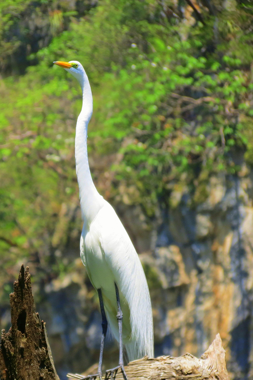 Tuxtla: Sumidero Canyon, San Juan Chamula & Zinacantán Tour - Tour Overview and Pricing