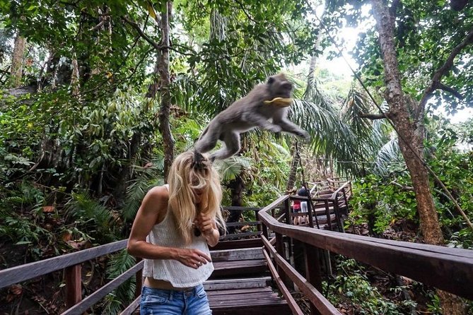 Ubud Cultural Tour - Tour Overview and Duration