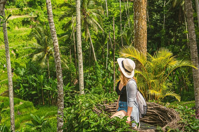 Ubud Customizable Tours Swing, Waterfall and Temple