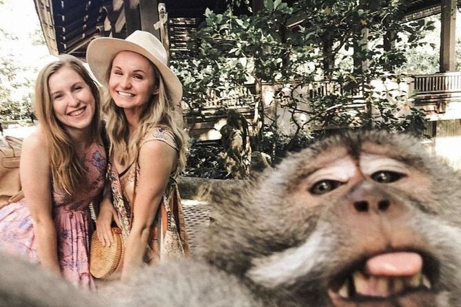 Ubud Skip the Line Monkey Forest Sanctuary Ticket and Guided Tour - Tour Experience