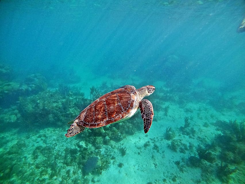 Underwater World