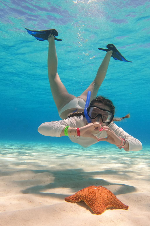 Unforgettable Francophone Excursion Cozumel El Cielo and Turtle