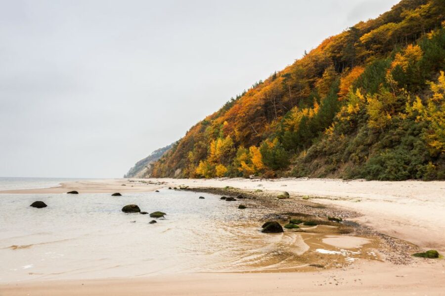 Usedom: Day Trip to Wolin National Park - Private Transport - Activity Overview
