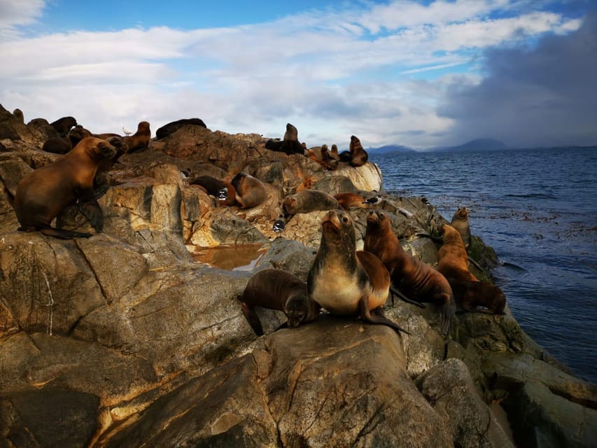 Ushuaia: Beagle Channel Navigation